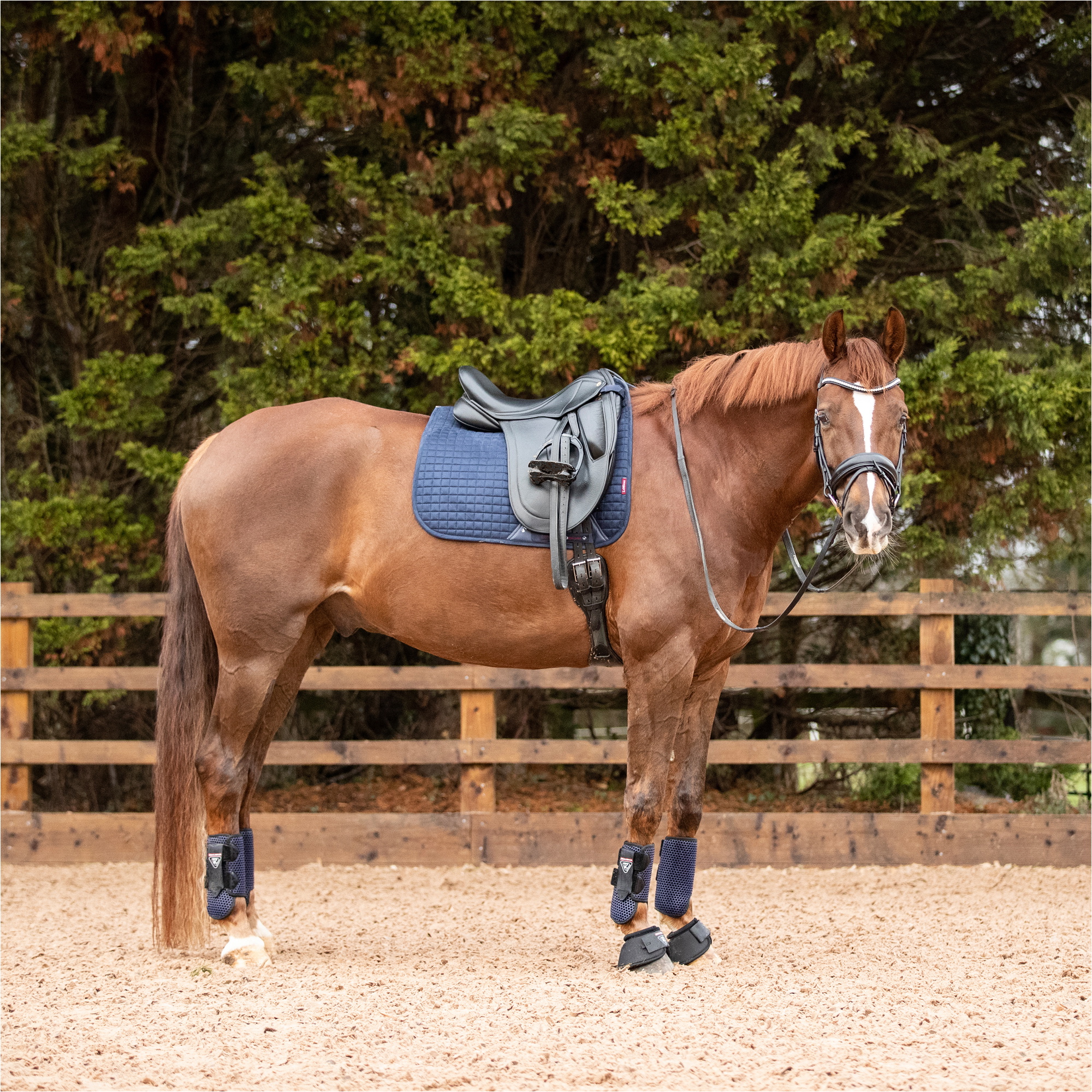 Equilibrium Tri - Zone Alle Sport Stiefel 2883 - Navy